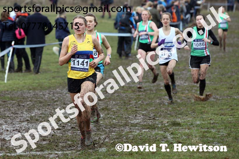 Senior womens 2018 British Inter Counties Cross Country Champs., Prestwold Hall, Loughborough. Photo: David T. Hewitson/Sports for All Pics